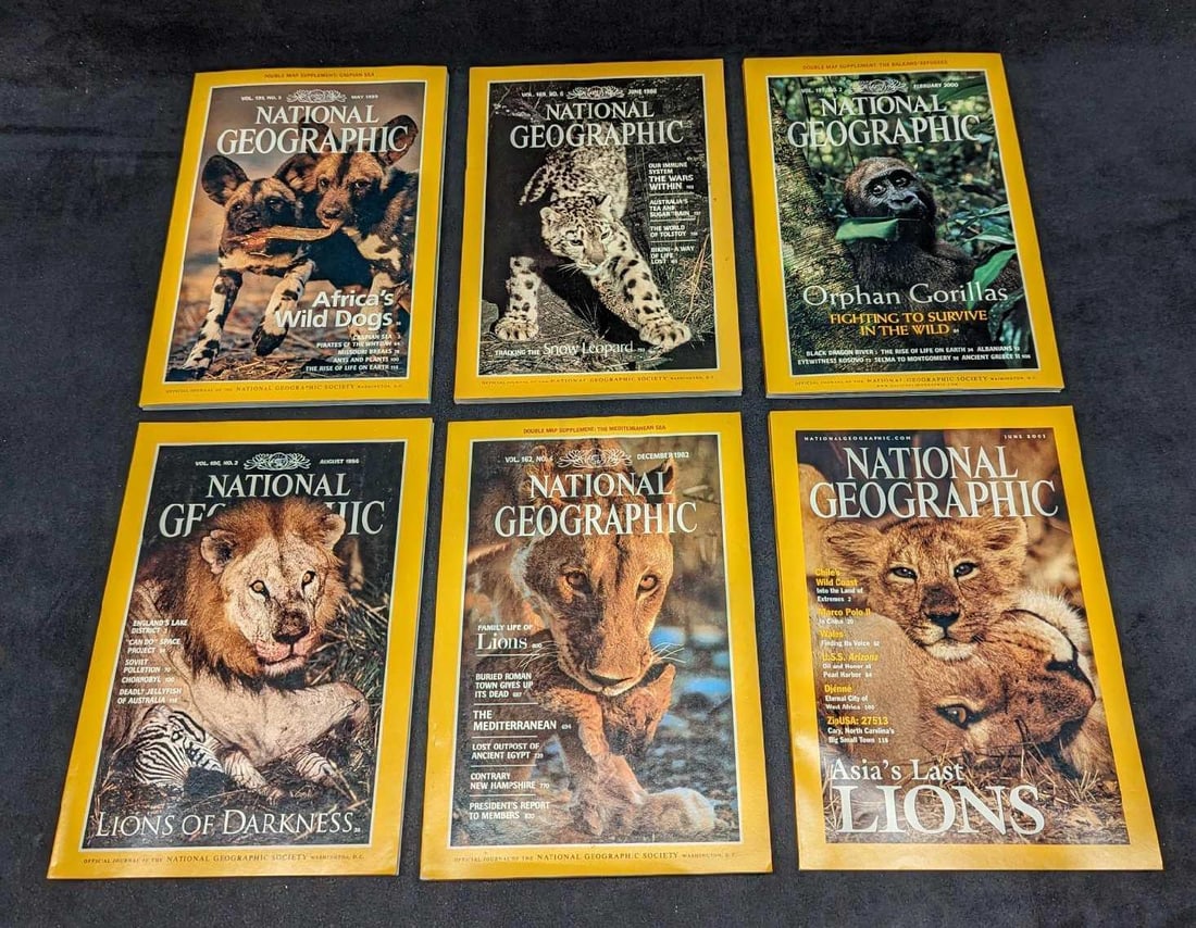 6 1980s 1990s 2000s National Geographic Magazines J (1 of 10)