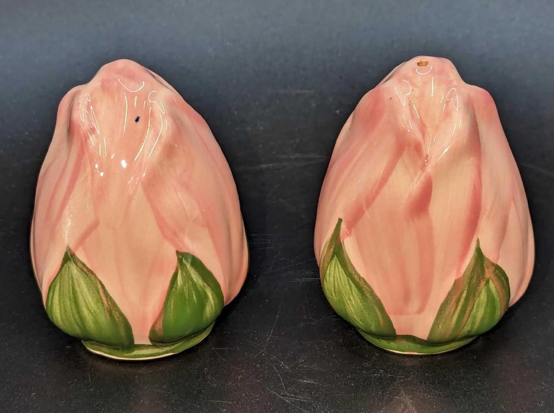 Retired Franciscan Desert Rose Salt & Pepper Shakers (1 of 6)