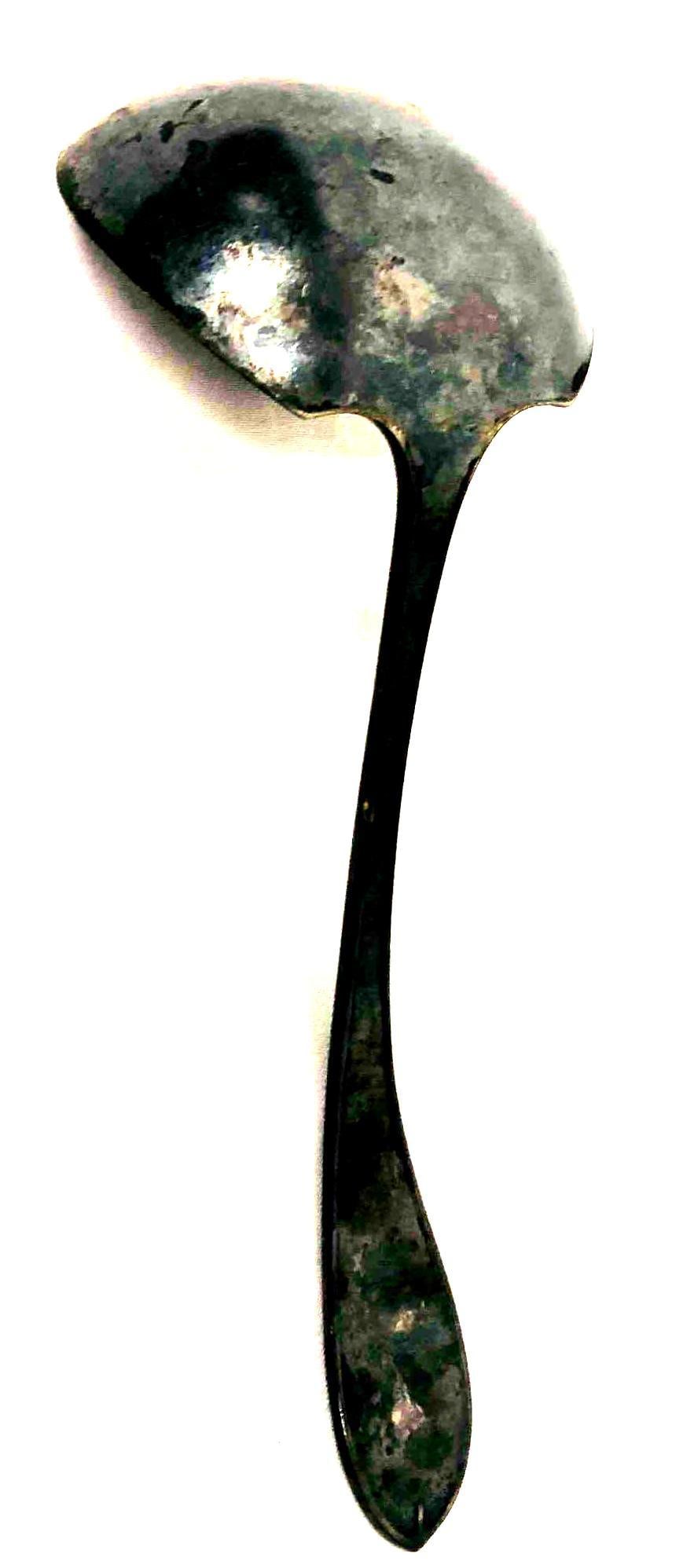 Community Silver Plate Large Serving Spoon - 8