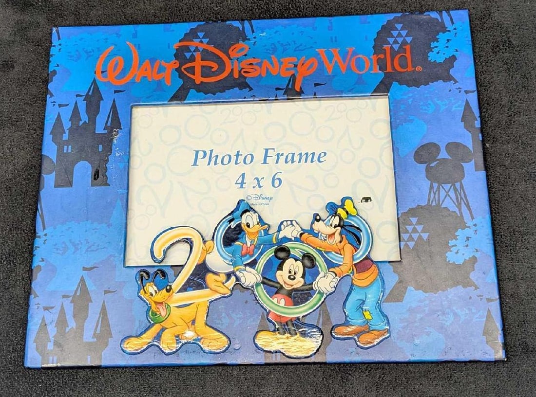 5 Different Disney World Photo Frames - 3