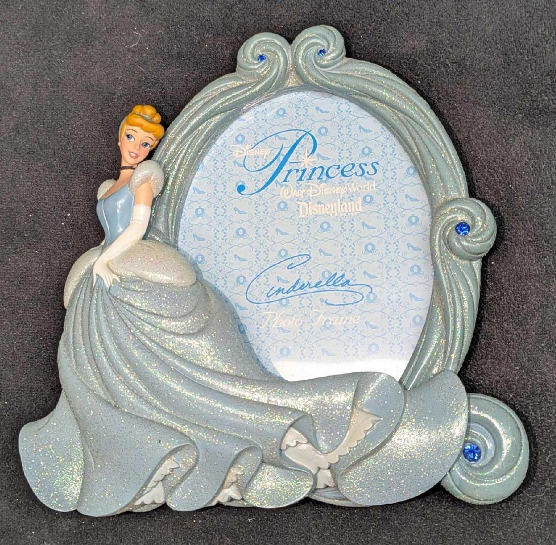 5 Different Disney World Photo Frames - 4
