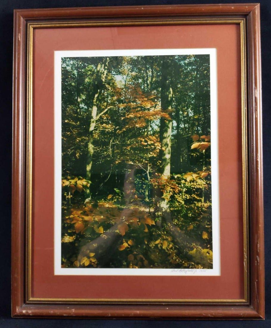 Framed Paul R Sanfield Jr Signed Photo Fall Trees: Here is a lovely color photo of some fall trees that was shot by photographer, Paul R Sanfield Jr. The photo is also signed by the artist on the bottom right. Framed art is approx 19" x 24".