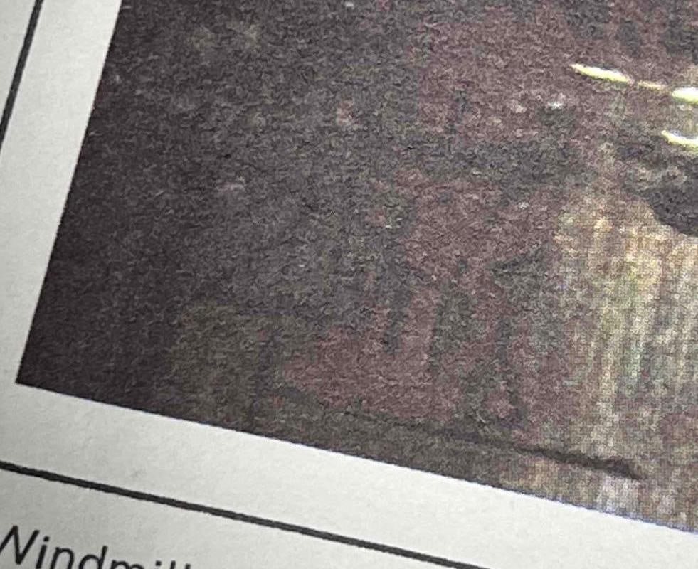 "Windmill" Print By Valdi - 4