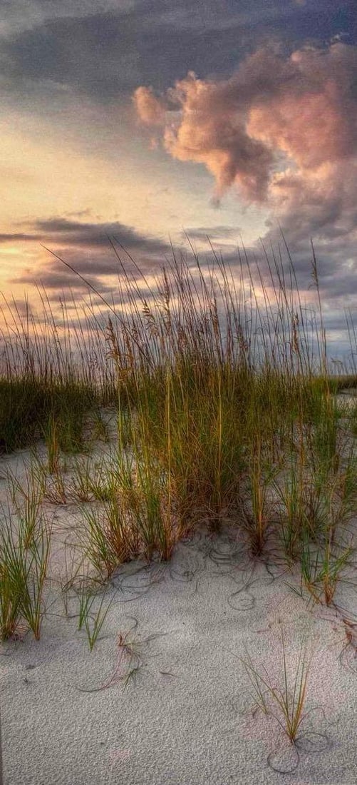 Framed Photograph Of A Genuine Giclee By Cavanah Images Silent Sunset 267/1500 With COA (1 of 6)