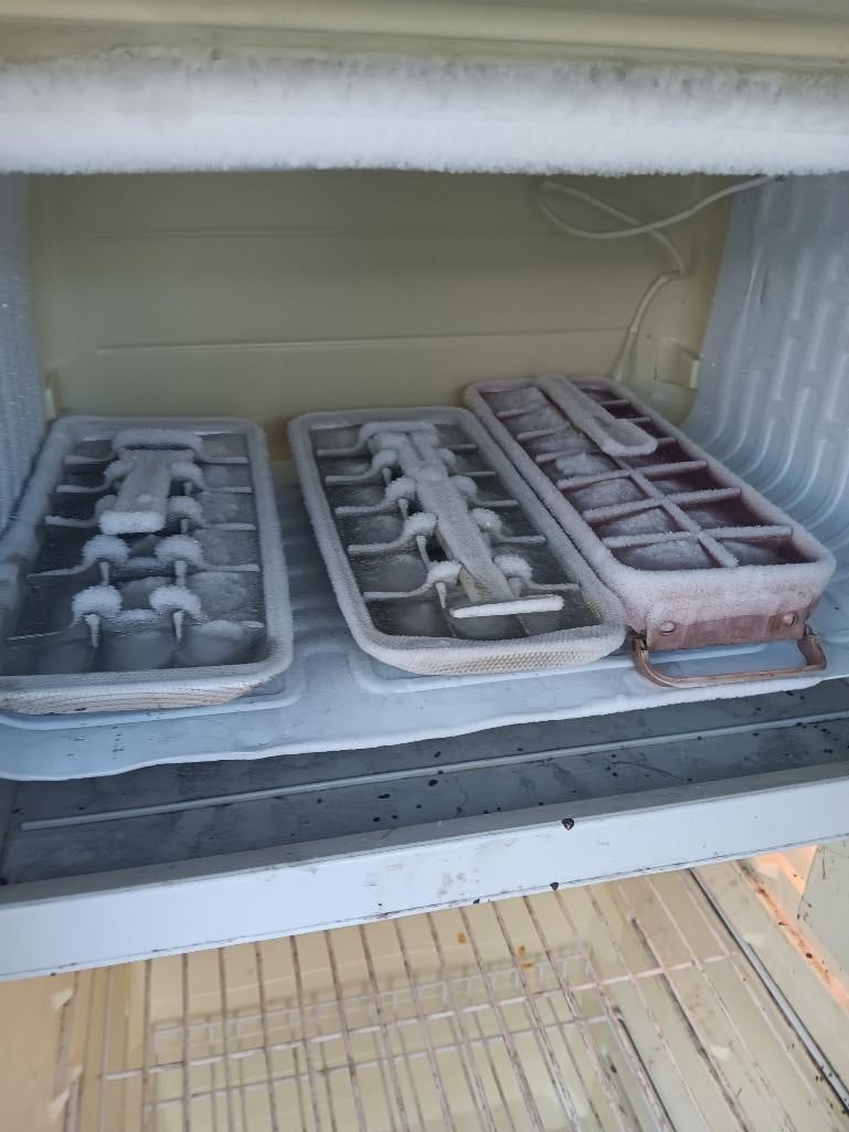 Budweiser Can Fridge - 8