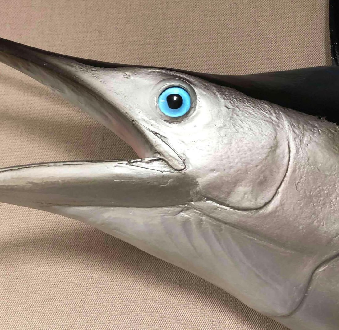 Sailfish Half Mount Wall Hanging - 4