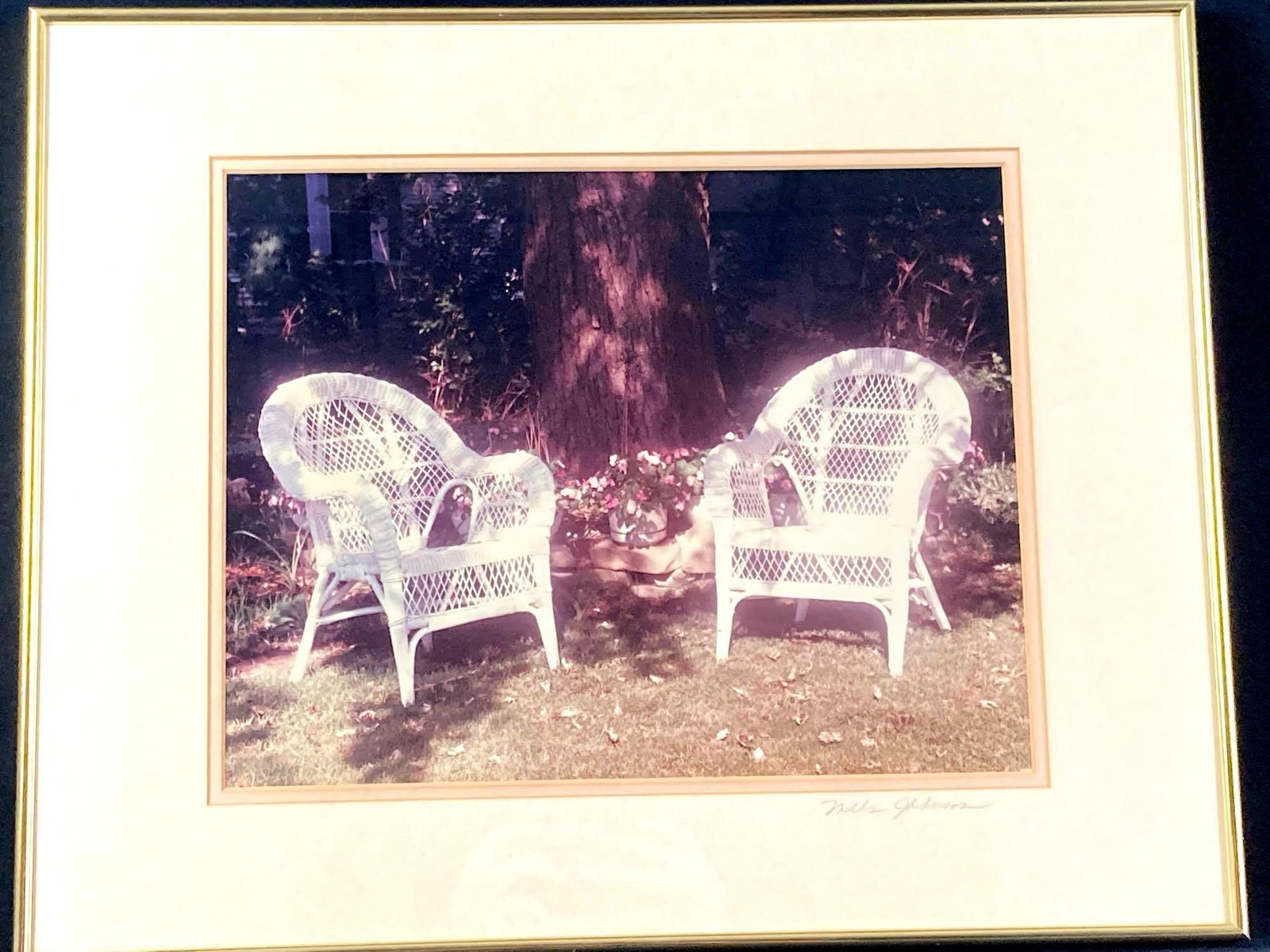 Wicker Chairs Photograph by Nels Johnson: Up for auction is a recent estate find, a Nels Johnson photograph of two wicker chairs in front of a tree. Nels Johnson was a graduate of the University of South Florida and received an Associates in