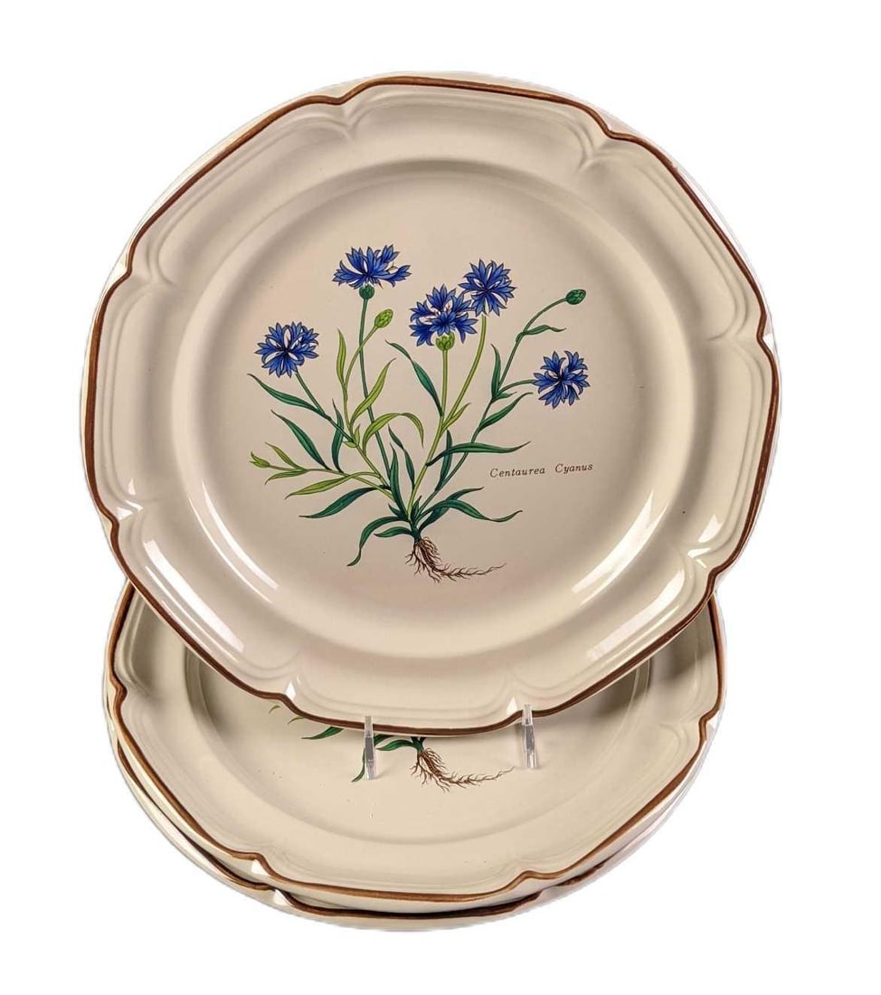 Three Sunmarc Botanical Garden Dinner Plates: Three Sunmarc Stoneware Botanical Garden Dinner Plates. Each plate is approx 10 1/2" and all weigh 5.5lbs. Plates are in a good, used condition with no known damage. Please note, these