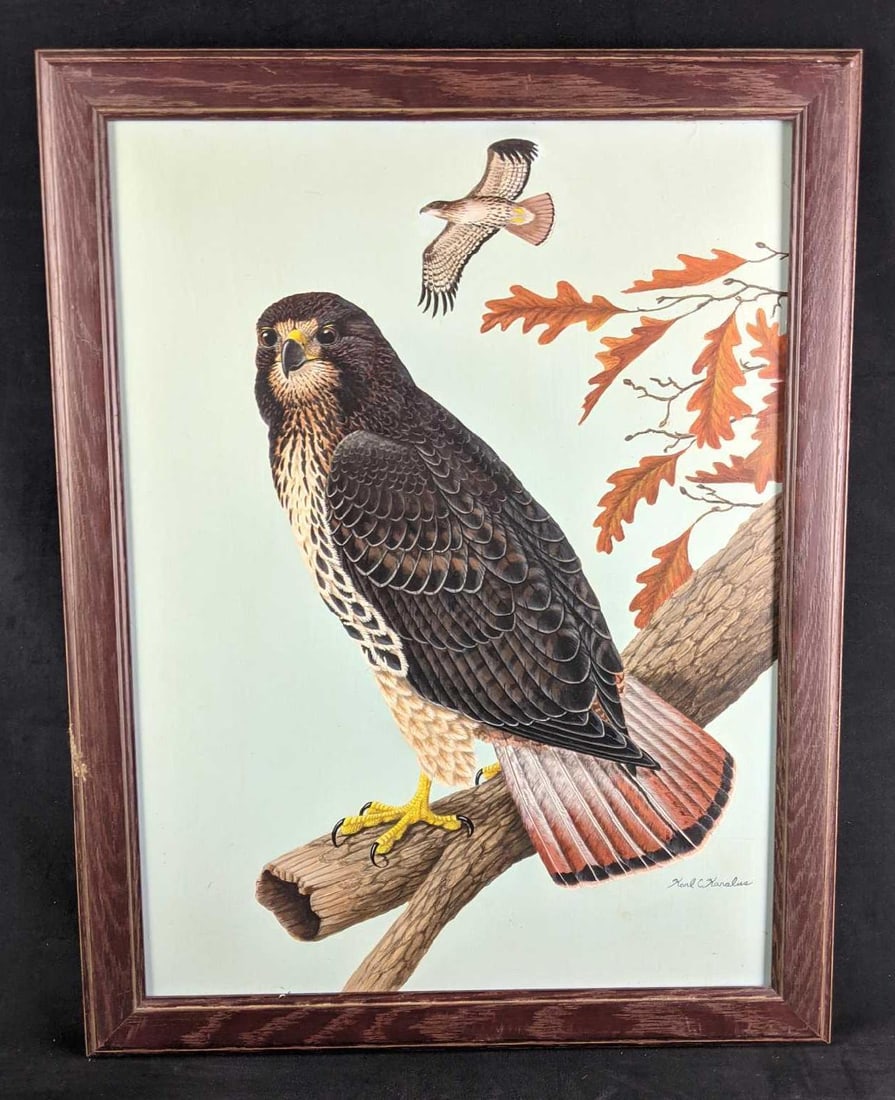 Hawk Painting by Karl Karalus: Subject: Hawk Size: 27in x 21 1/4in Weight : With Bonus Book 6.5lbs Medium: Acrylic On Board. Bonus: "Florida's Birds a handbo