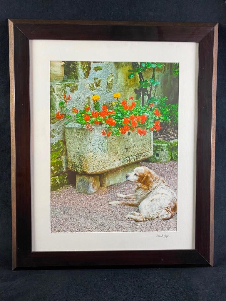 Frank Juge "Sitting Pretty" Photo: Frank Juge "Sitting Pretty" Photo Photo by Frank Juge, showing a dog sitting in a garden next to a planter full of colorful flowers. Comes professionally framed and matted, in good condition