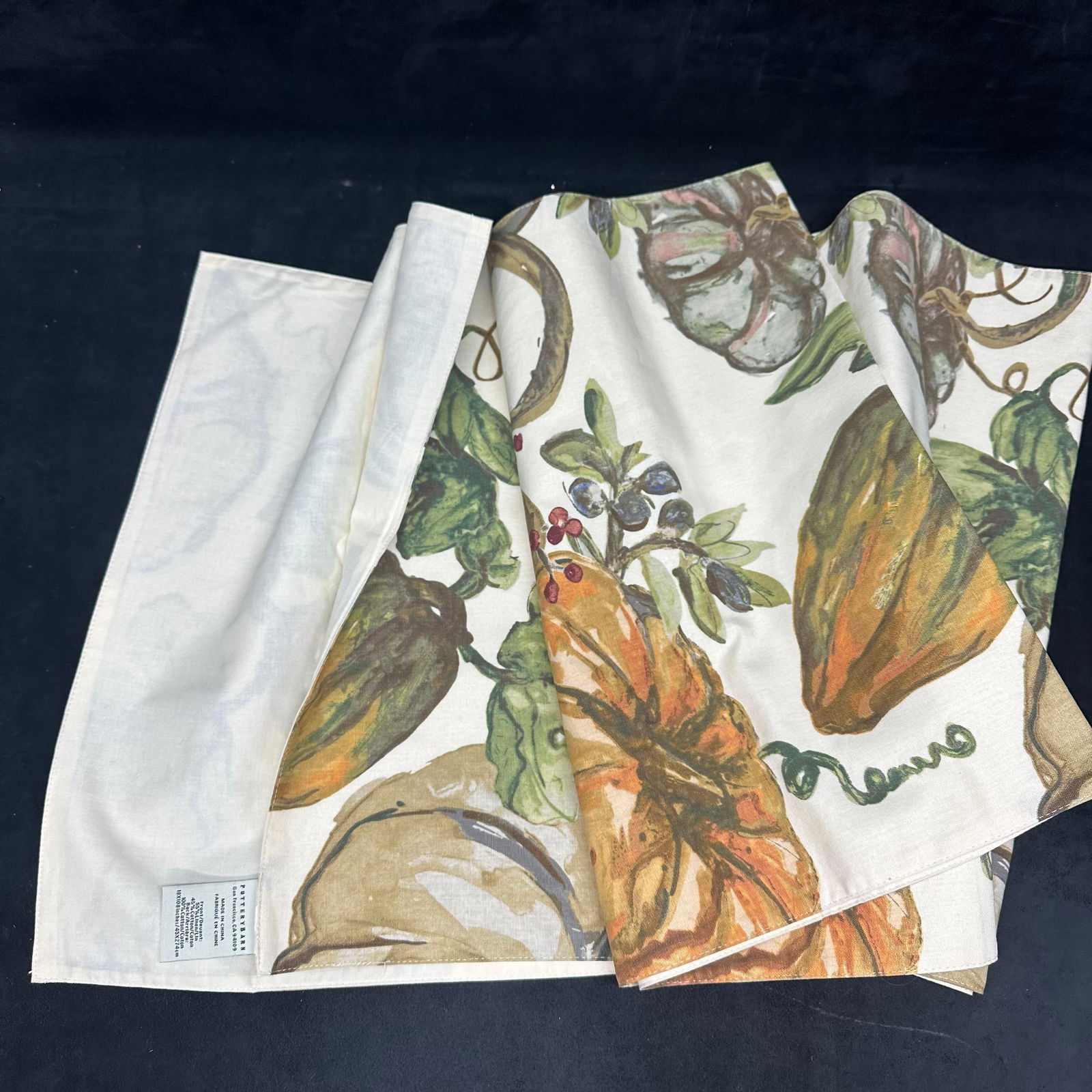 Pottery Barn Fall Harvest Placemats and Table Runners Pumpkin Pattern Set - 9