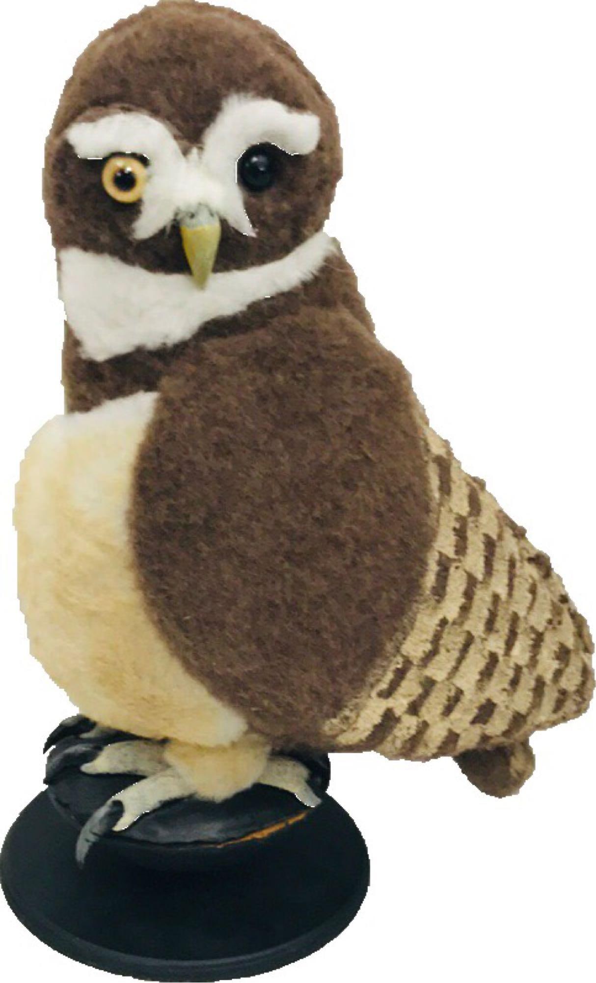 Halloween Decor, Plush Owl on Stand: Halloween Decor, Plush Owl on Stand; a wise old barred owl perched on a black stand. We expect this owl has something to say. The is in good condition, unfortunately the poor owl lost a talon on the