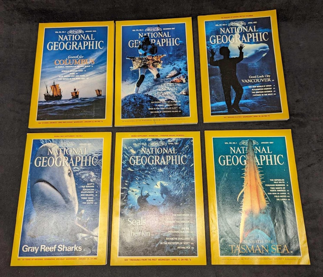 6 1980s 1990s National Geographic Magazines NGA (1 of 10)