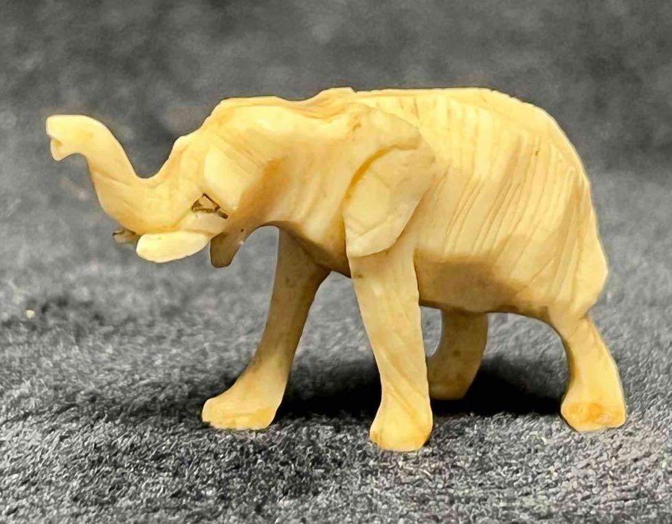 Unique Hand Carved Bone Elephant Bundle - 10