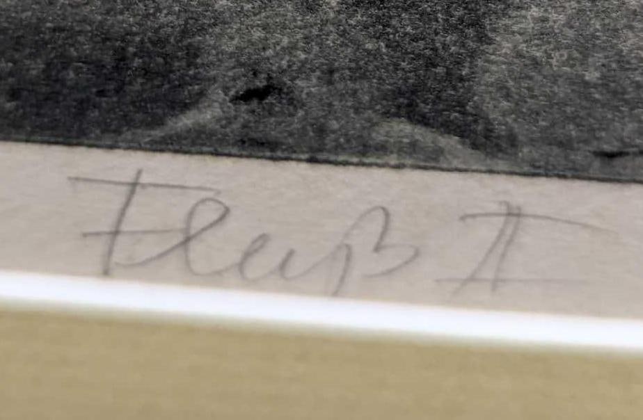 S&N Framed Bridge Print - 4