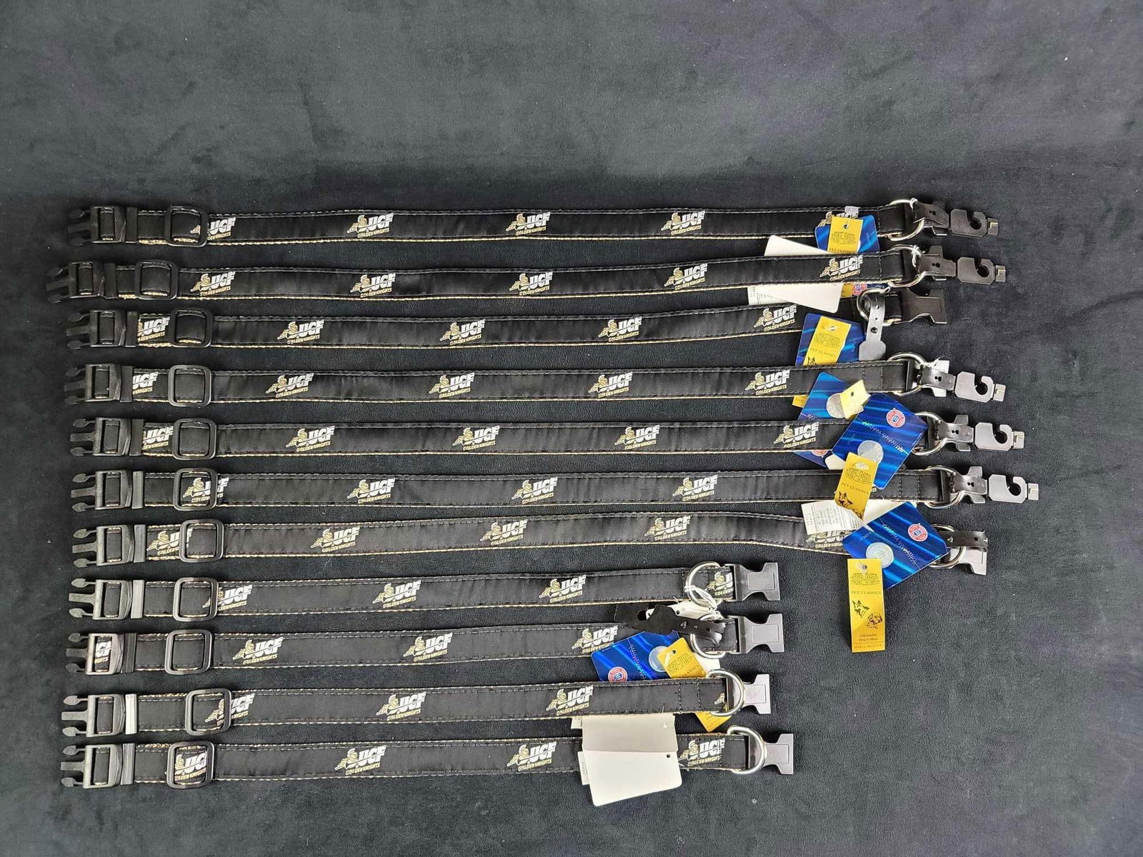 UCF College Football Logo Dog Collars E (1 of 5)