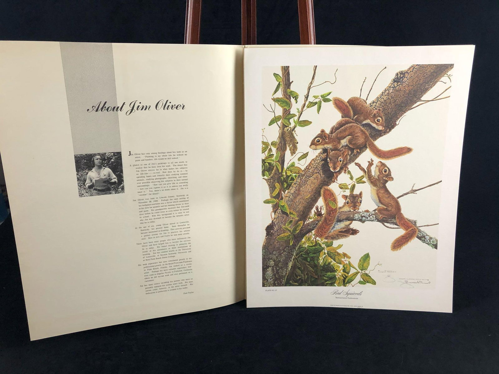 Vintage Wildlife Artist Jim Oliver "Red Squirrels " Signed Embossed Lithograph Print: Authentic Wildlife Artist Jim Oliver "Red Squirrels " Signed Embossed Lithograph Print Near mint - never framed