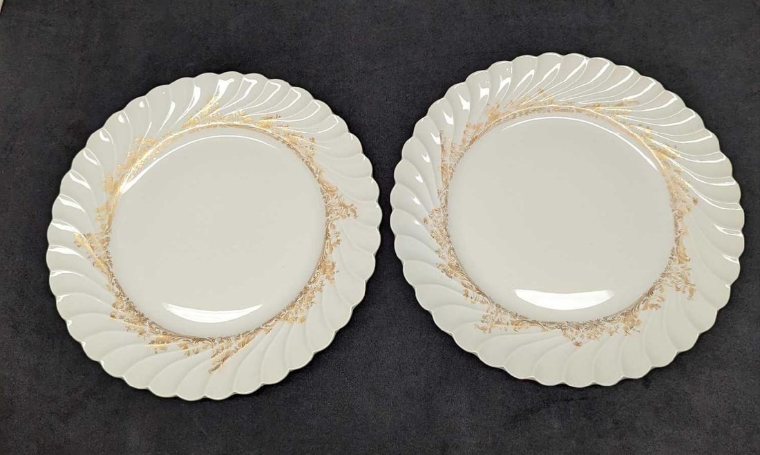 Retired Haviland Ladore 2 Dinner Plates (1 of 6)