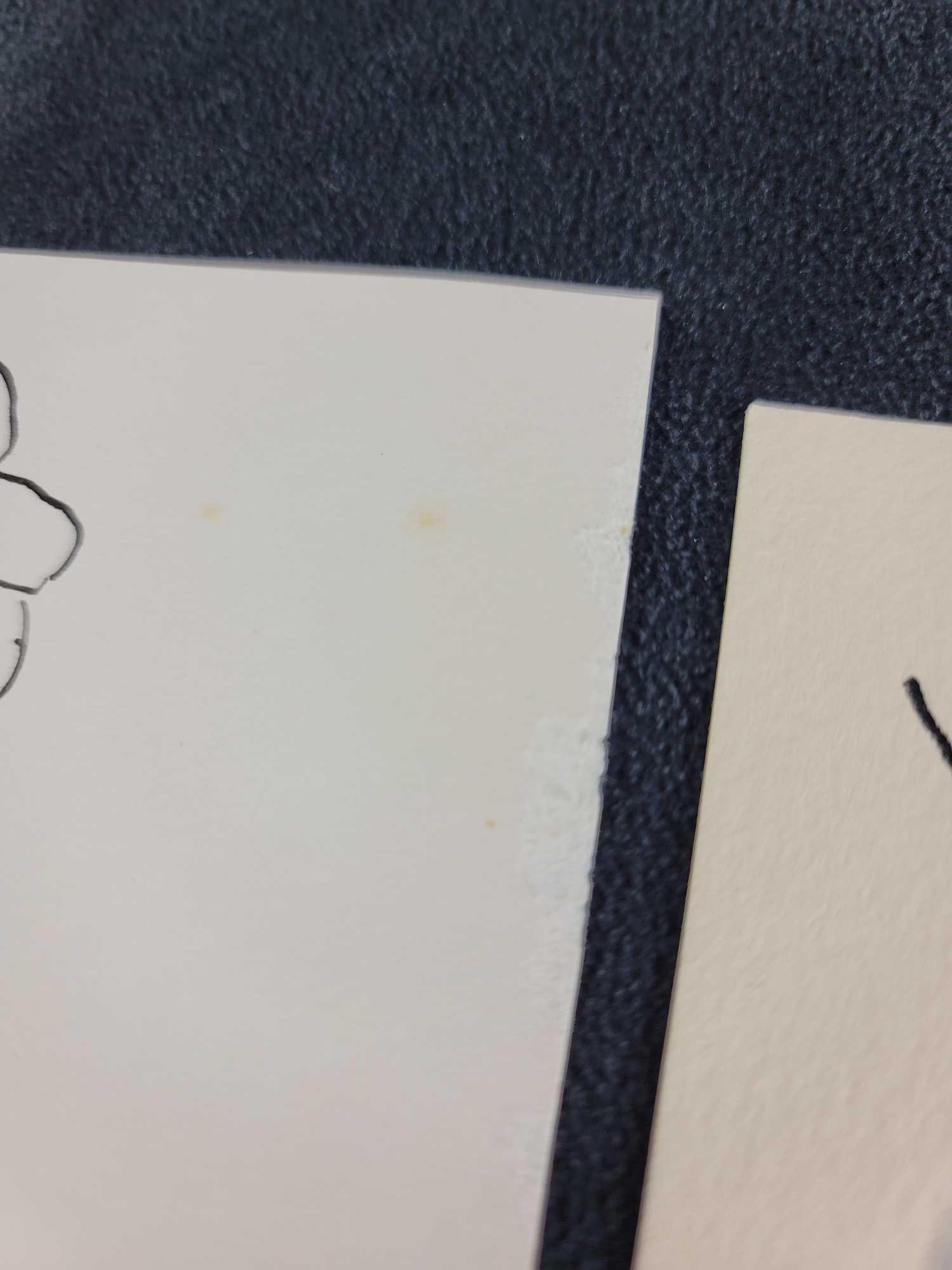 Personalized Peter Bodnar Lithographs - 6