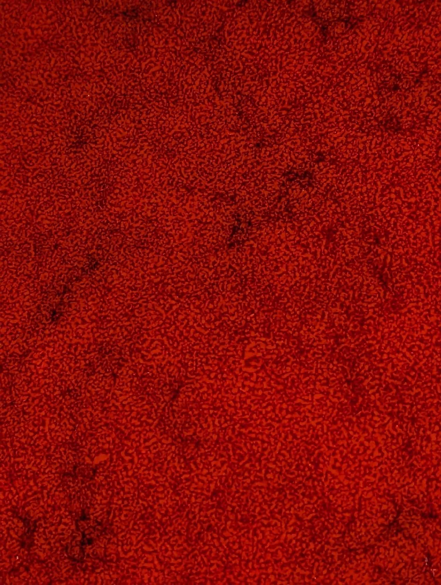 12" Handmade Red Ceramic Platter D - 4