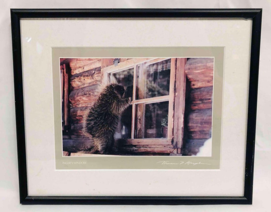 "Inger's Window" Thomas D. Mangelsen Photo Print: This lot contains "Inger's Window" Thomas D. Mangelsen Photo Print. The frame is approx 8 3/4" x 10 1/2" while the photo print itself is approx 4 1/2" x 6 3/4" and it weighs about 1lb. Overall the pho