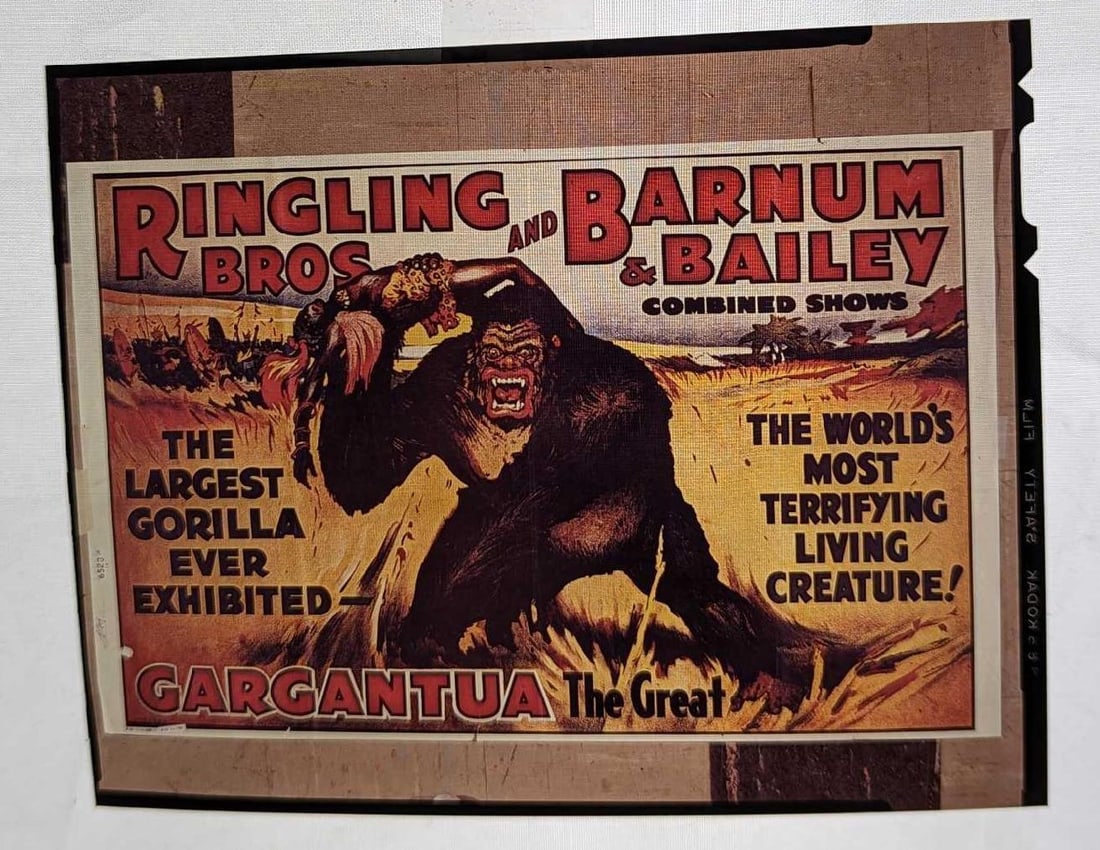 Kodak Transparent 4 X 5 Gargantua The Great Gorilla Poster (1 of 3)