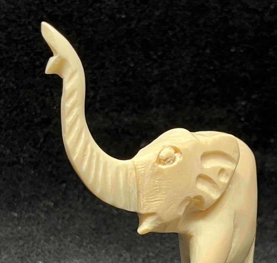 Small Hand Carved Bone Elephant - 3