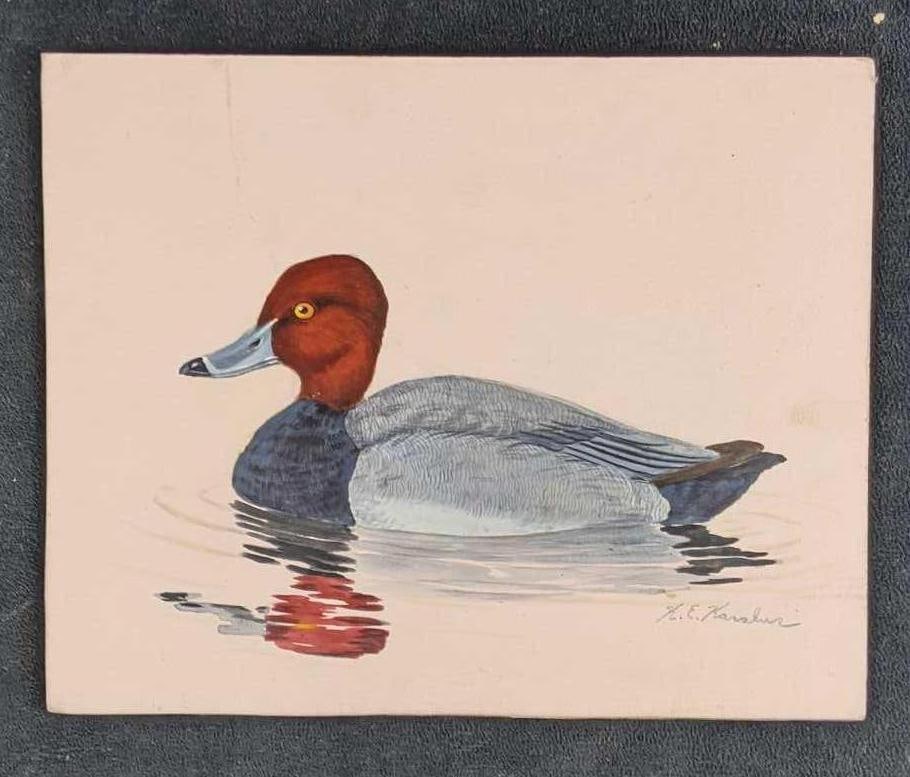 Redhead Duck by Karl Karalus: Subject: Redhead DuckSize: 8in x 10inWeight: 3ozMedium: Watercolor This painting is not framed. Karl Karalus (1926-2013) was an illustrator and wildlife painter. He was married to Helen Couch