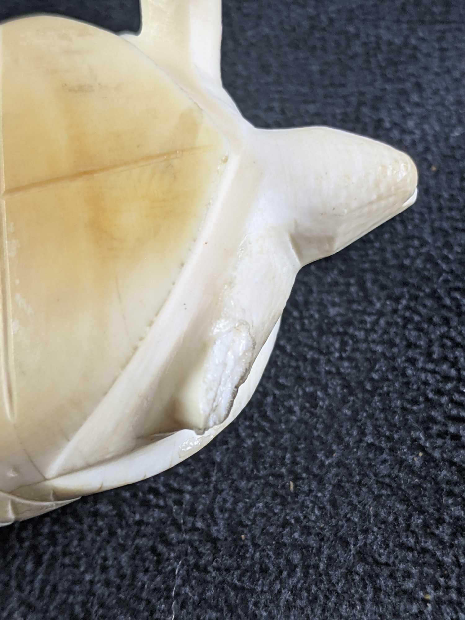 Rare Antique Bone Carved Turtle - 7