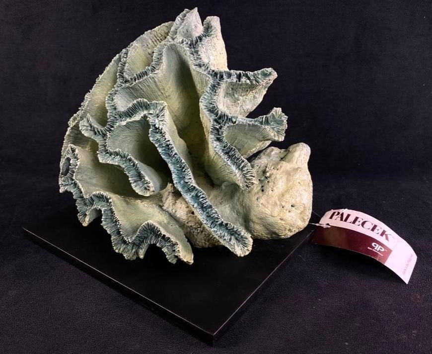 Palecek Blue Broach Coral Sculpture: Palecek Blue Broach Coral Sculpture This exquisite coral sculpture hand-made in the Philipines comes originally from Palecek, a company which only sells to people or caompanies in the interior