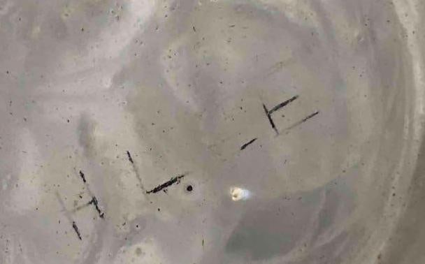 H.Lee Crystal Decanter - 6