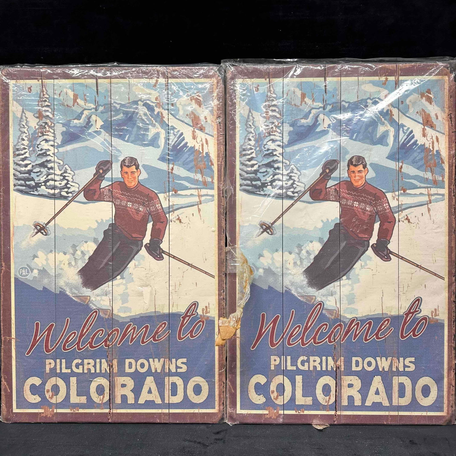 Vintage Style Wooden Ski Signs Welcome to Pilgrim Downs Colorado Retro Wood Sign Set (1 of 11)