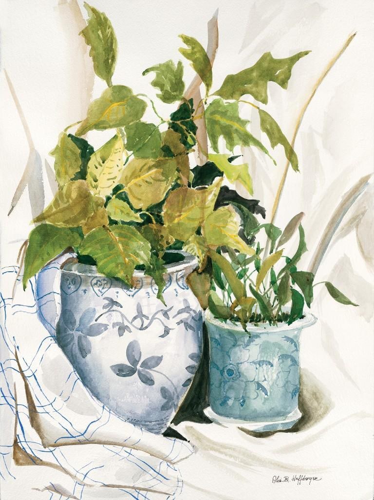 Alice B. Hoffberger Watercolor Still Life Giclee Art Print: Watercolor painting giclee art print by Alice B. Hoffberger featuring two leafy potted plants in decorative blue and white ceramic pots, set against a softly draped background with a checkered cloth.