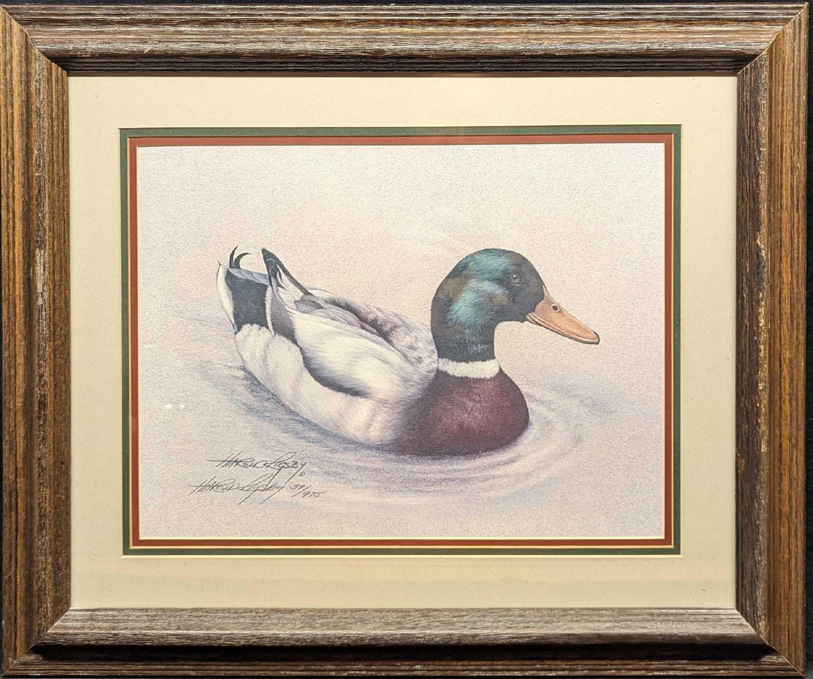 Framed S&N Harold Rigsby Mallard Duck Print (1 of 7)