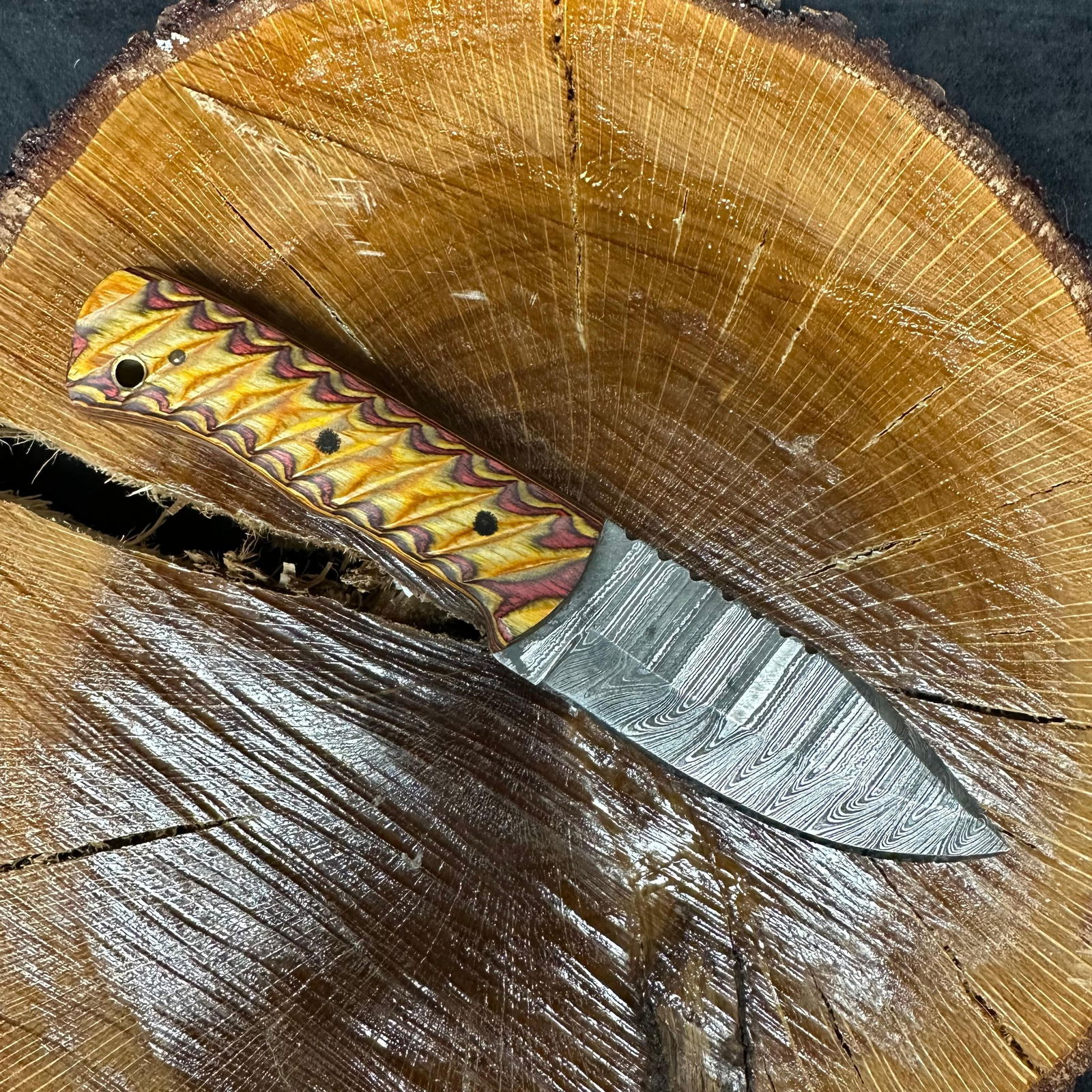 MHS Cutlery Fixed Steel Blade Knife P55 Stylized Handle: Fixed blade knife by MHS Cutlery featuring a patterned textured steel blade with a curved profile. The handle is constructed with multi-tone stabilized resin/wood material in yellow, red, and orange h