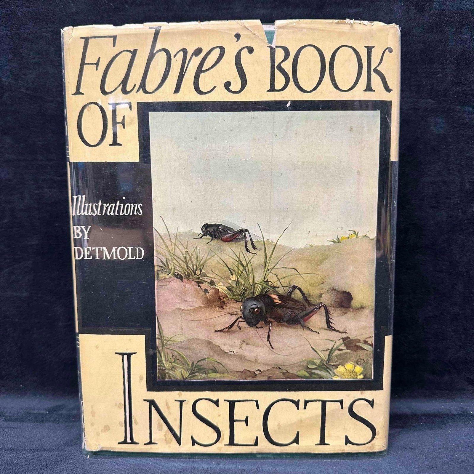 Fabre’s Book of Insects Illustrated by E.J. Detmold Vintage Hardcover with Dust Jacket: Vintage edition of Fabre’s Book of Insects, beautifully illustrated by E.J. Detmold with 12 color plates protected by tissue guards. Published by Tudor Publishing Company, New York. Retold from