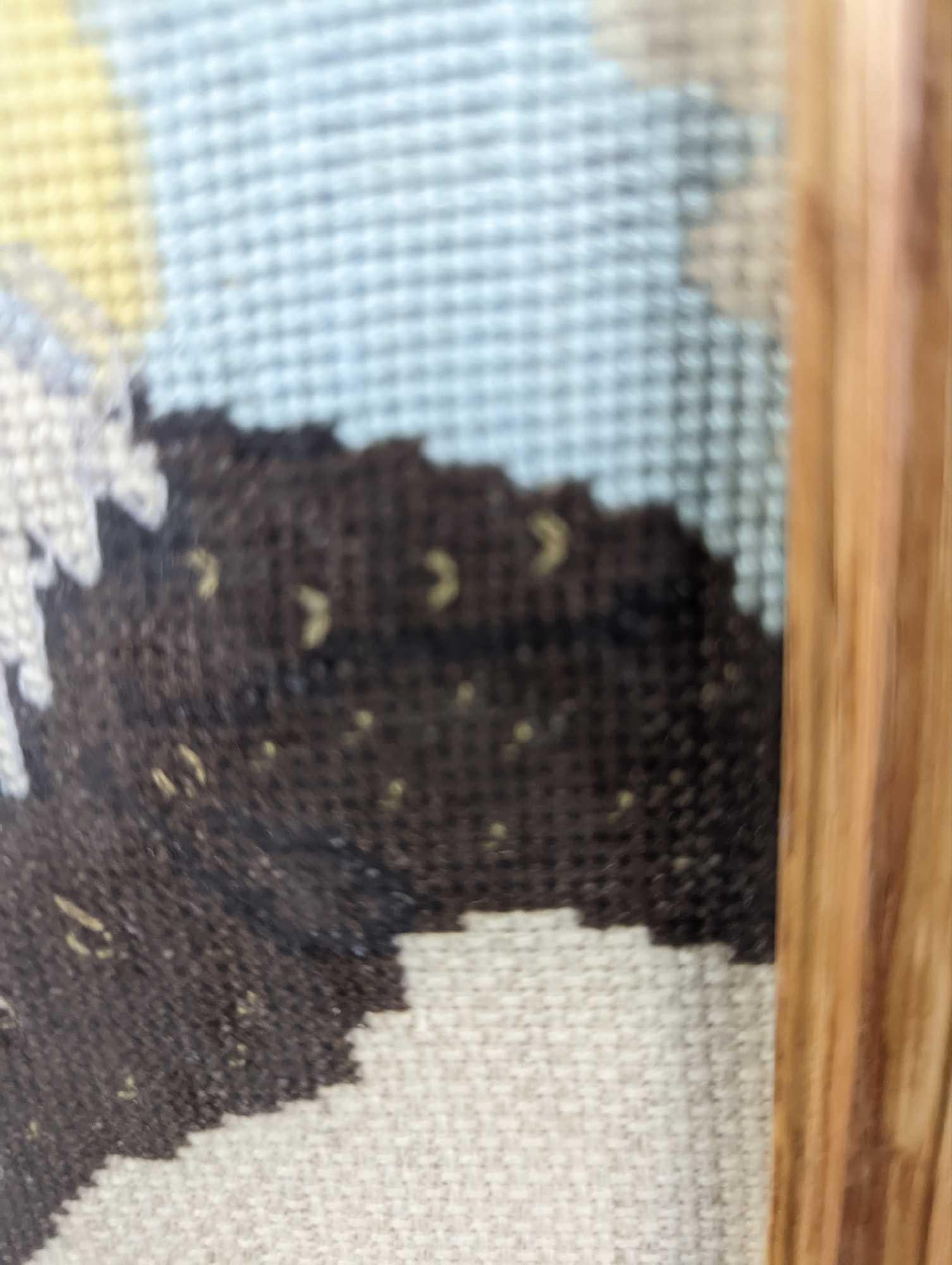 Framed Framed Bald Eagle Cross Stitch - 4