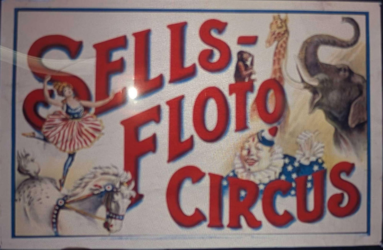 Kodak Transparency 4 X 5 Sells Floto Circus B: Kodak Transparency 4 X 5 Sells Floto Circus B. Here is a 4" x 5" Kodak Transparency of a vintage "Sells-Floto Circus" with images of clown, animals and more. This could be made into prints with t