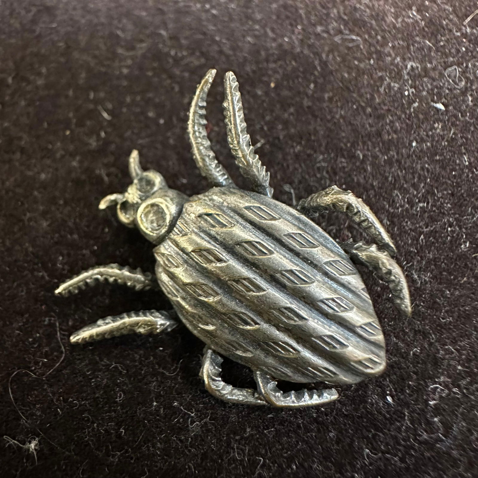 Silver Unmarked Beetle Insect Brooch Pin (1 of 6)