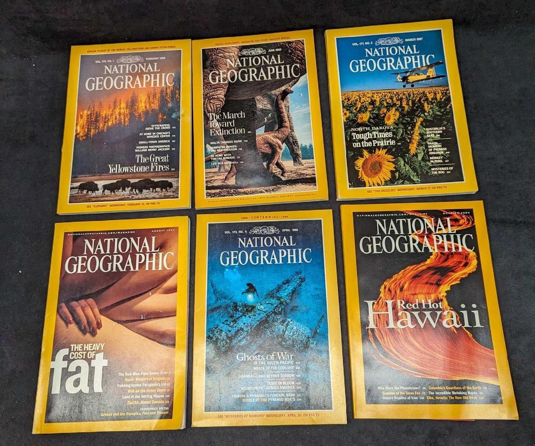 6 1980s 2000s National Geographic Magazines W (1 of 9)