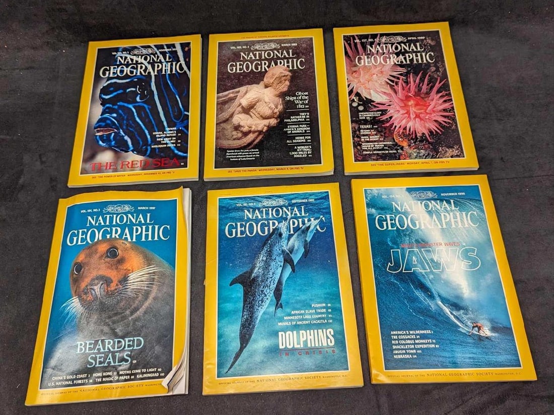 6 1990s 2000s National Geographic Magazines U (1 of 11)