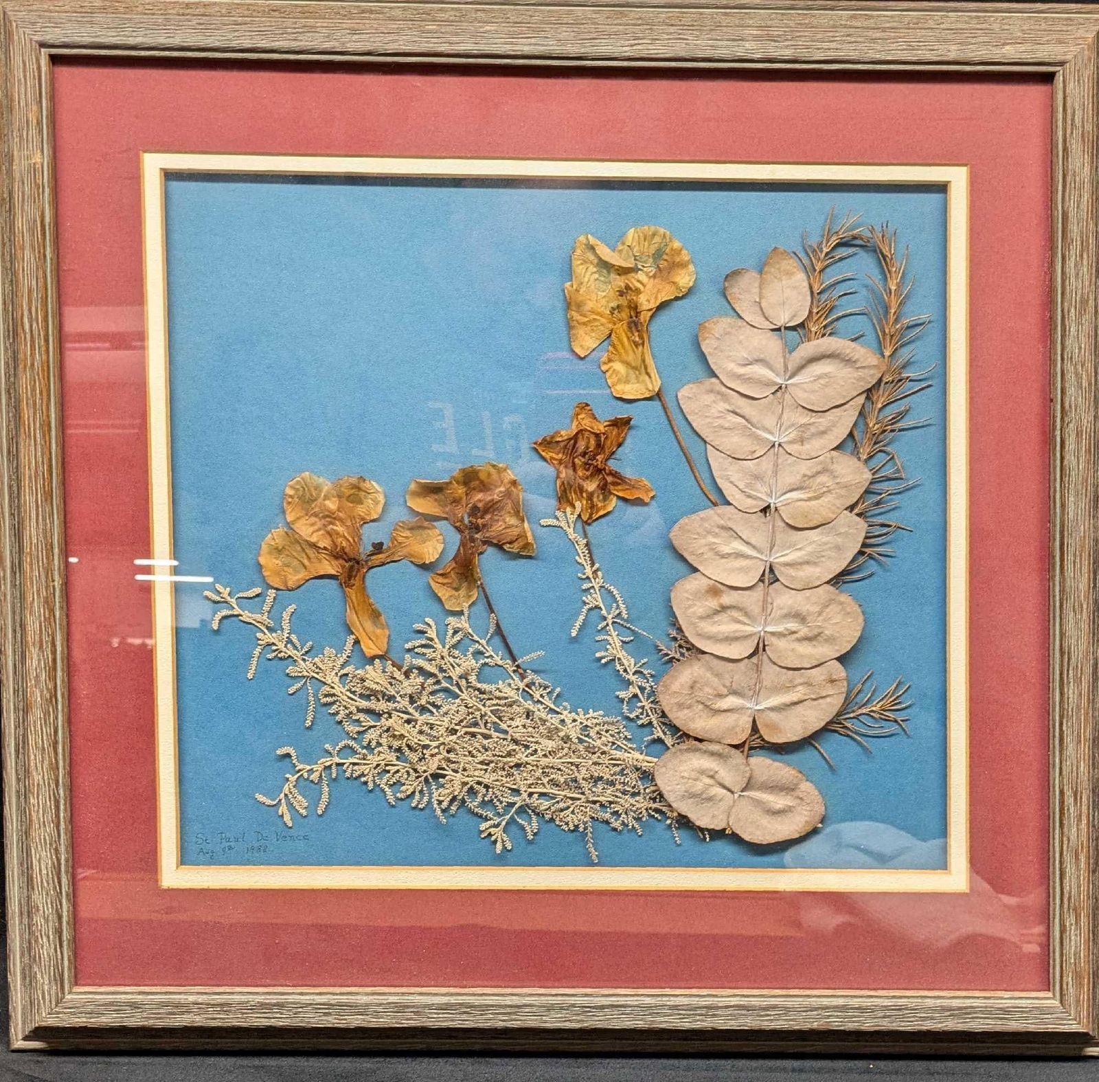 Framed St Paul De Vence Pressed Dried Flowers Artwork (1 of 7)