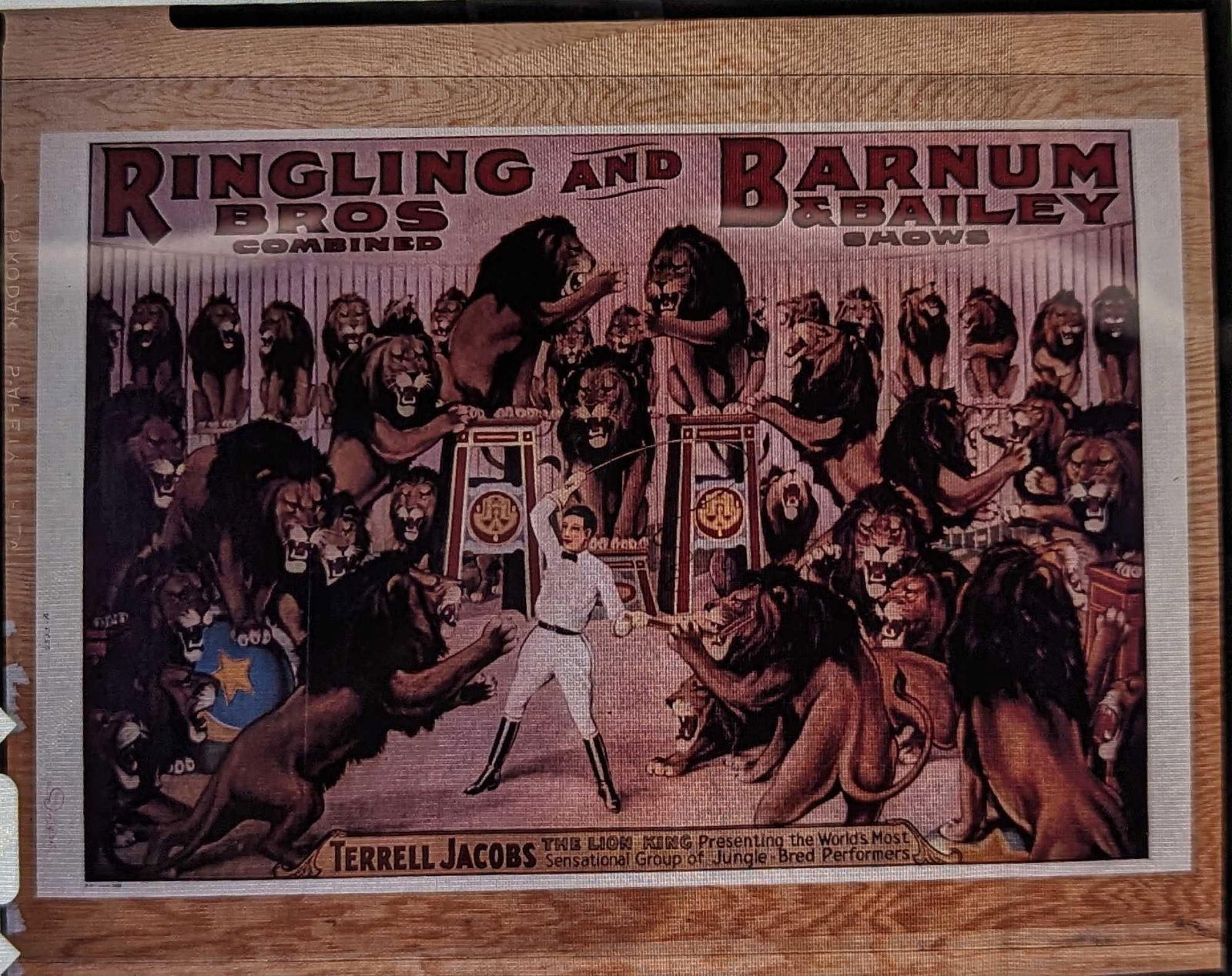 Kodak Transparent 4 X 5 Barnum & Bailey Lions Poster: Kodak Transparent 4 X 5 Barnum & Bailey Lions Poster. Here is a 4" x 5" Kodak Transparent of a vintage "Ringling Bros And Barnum & Bailey Show Terrell Jacobs - The Lion King" poster that can be made