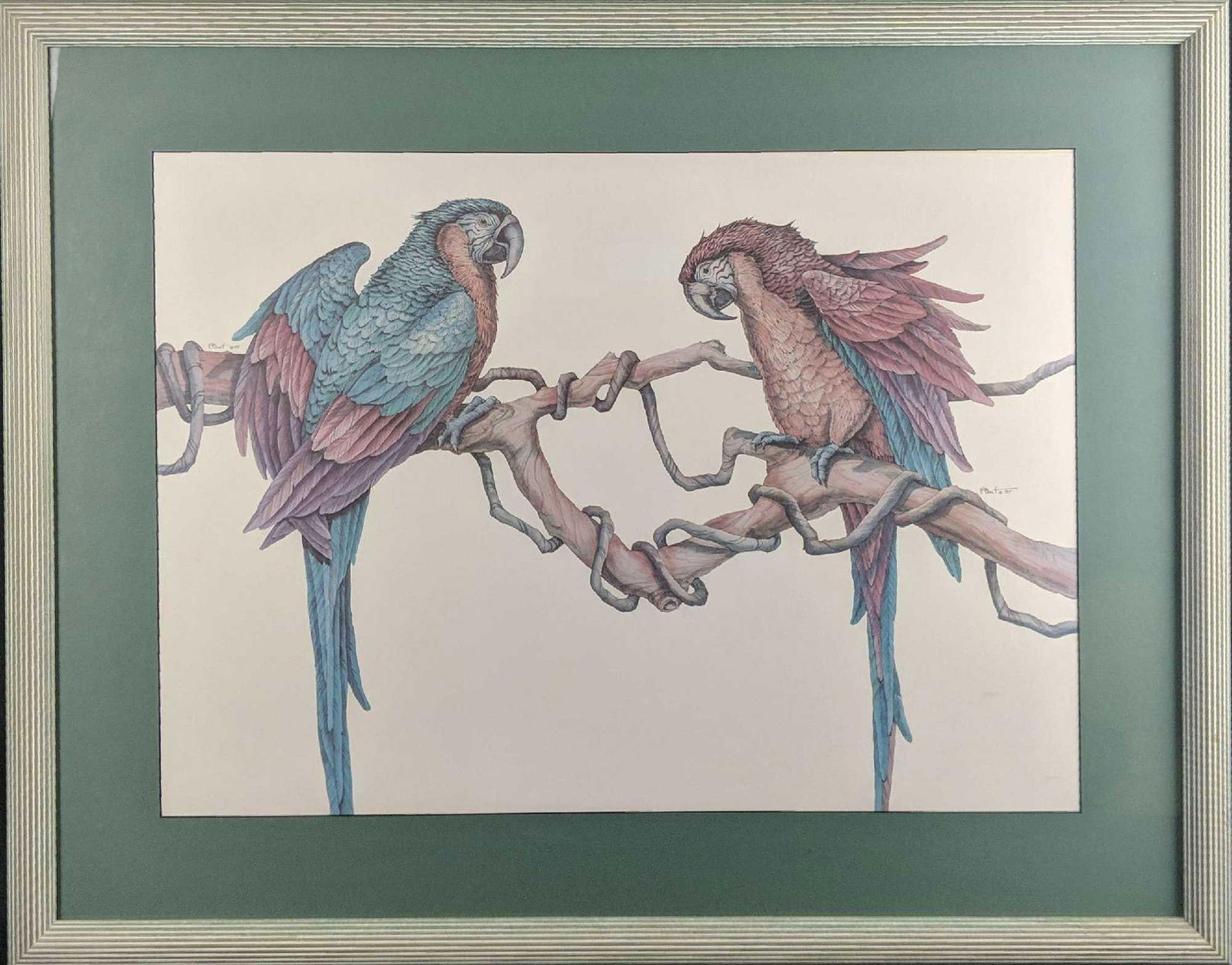 Large Framed Colorful Parrots Print P Breut Tropical: Here is a watercolor print of two colorful parrots by an artist named P. Breut. The framed print is approx 38" x 1 1/2" x 30". Print is approx 29" x 21". Framed art is in good, used condition with