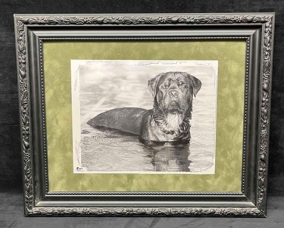 Black & White Photograph Pix n' Pages High Quality Canine Event Photos By Nicky & Chuck Guthrie (1 of 7)