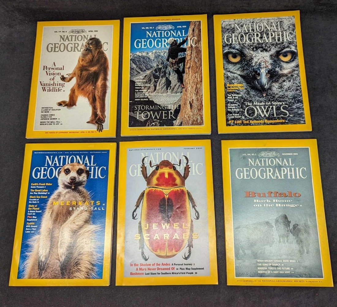 6 1990s 2000s National Geographic Magazines NGE: 6 1980s 1990s 2000s National Geographic Magazines NGE. This lot includes: (1) November 1994 - Buffalo Back Home On The Range.(1) December 2002 - The Magic Of Snowy Owls. (1) April 1990 - A Personal