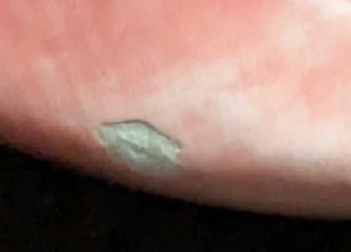 Vintage Ceramic Victorian Dressed Kitty Teapot - 6