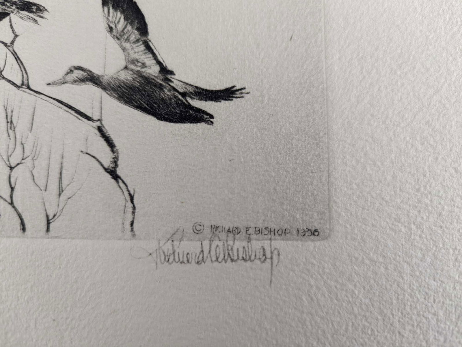 Original Richard E Bishop Etching - 5