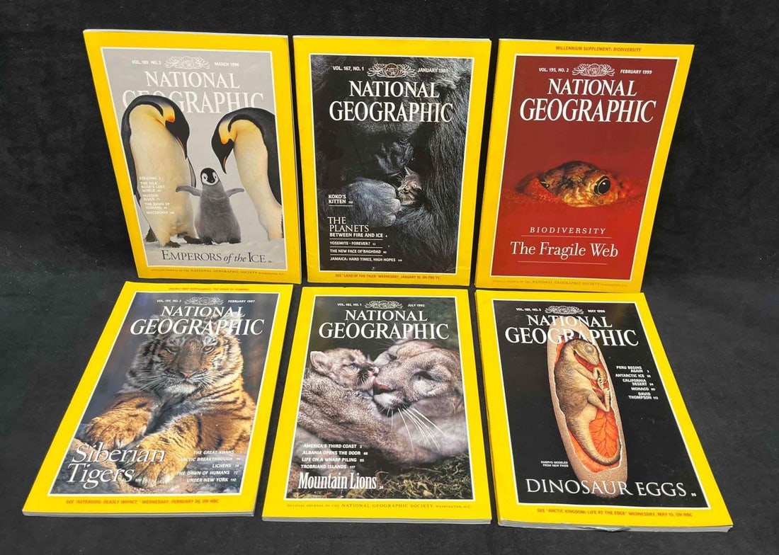 6 National Geographic Magazines 5 From the 90's & 1 80's.: This lot contains a 6 National Geographic Magazines 5 From the 90's & 1 80's. (1) January 1985 - Koko's Kitten.(1) February 1997 - Siberian Tigers. (1) March 1996 - Emperors Of The