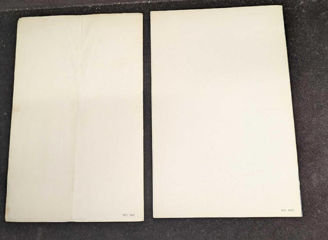 2 1950s Boy Scout Eagle Scout Programs - 4